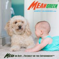Mean Green Carpet Cleaners image 7